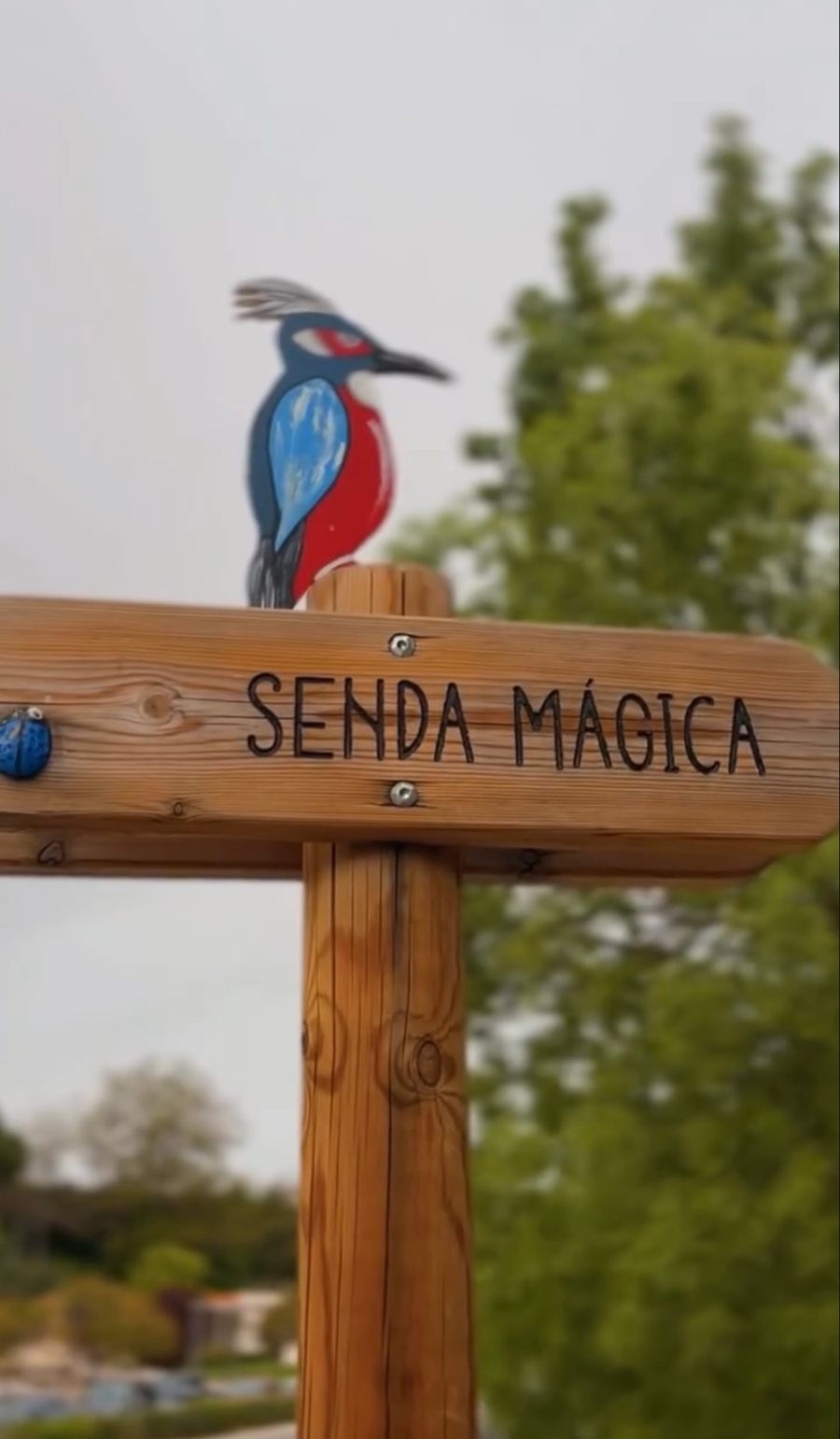 Senda Mágica